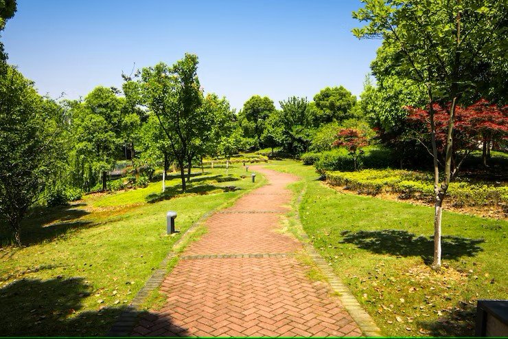 Scenic Walk